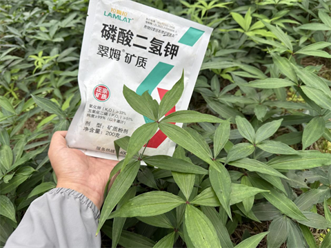 水溶肥品牌,黄精种植,拉姆拉滴灌级特种肥