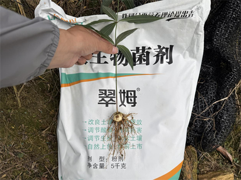 水溶肥品牌,黄精种植,拉姆拉滴灌级特种肥