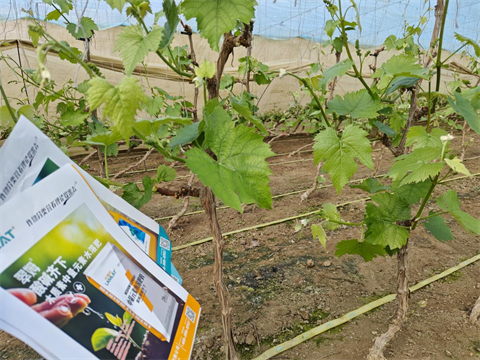 水溶肥,中微量元素,翠姆酸碱齐下