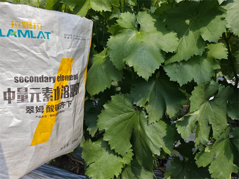 水溶肥,中微量元素,翠姆酸碱齐下