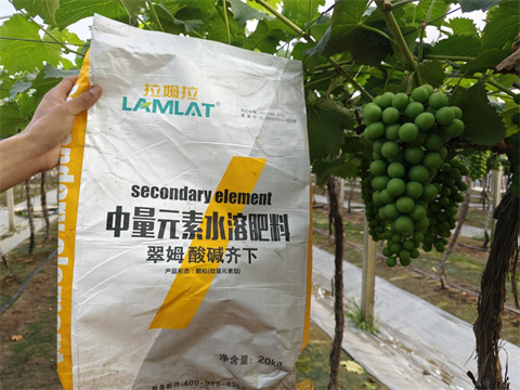 水溶肥,中微量元素,翠姆酸碱齐下