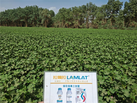 水溶肥品牌,棉花种植,拉姆拉滴灌级特种肥