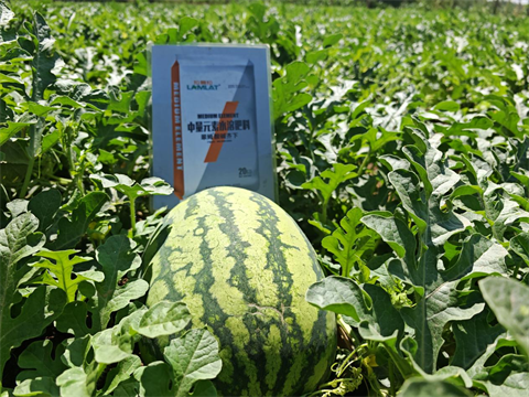 水溶肥,西瓜种植,拉姆拉滴灌级特种肥