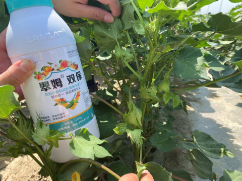 水溶肥品牌,棉花种植,拉姆拉滴灌级特种肥