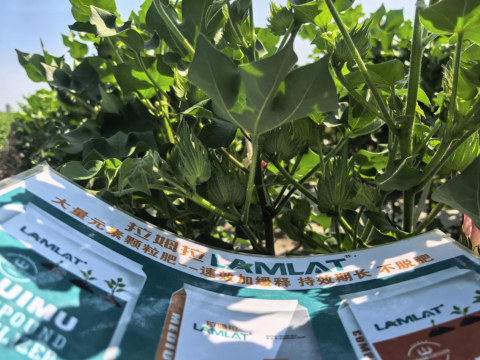 水溶肥品牌,棉花种植,拉姆拉滴灌级特种肥