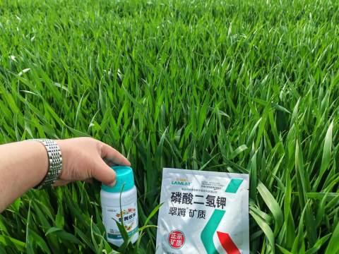 水溶肥品牌,大田作物种植,拉姆拉滴灌级特种肥