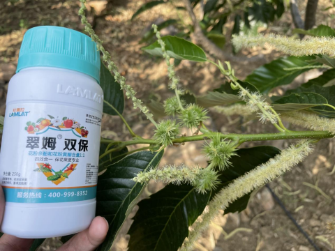 水溶肥品牌,板栗种植,拉姆拉滴灌级特种肥