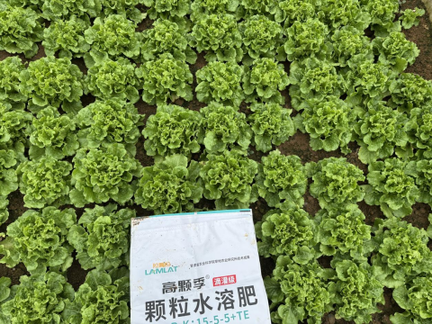 水溶肥厂家,土壤恶化,拉姆拉滴灌级特种肥