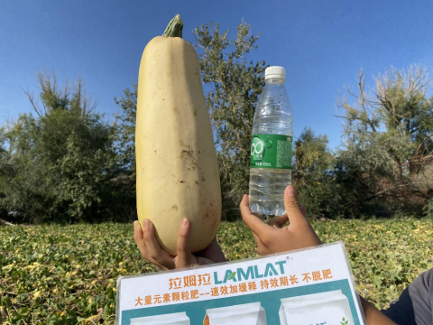 水溶肥,西葫芦种植,拉姆拉滴灌级特种肥