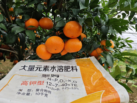 水溶肥品牌,柑橘种植,拉姆拉滴灌级特种肥