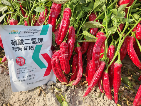 水溶肥厂家,辣椒施肥,拉姆拉滴灌级特种肥