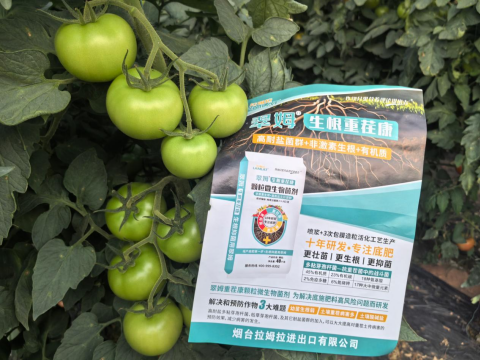 生根养地,拉姆拉滴灌级特种肥,水溶肥